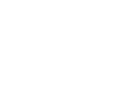 Brüning Group